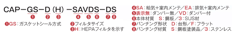 CAP-GS-D(H)-SAVDS-DS